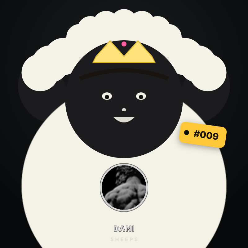 Sheep for Dani
