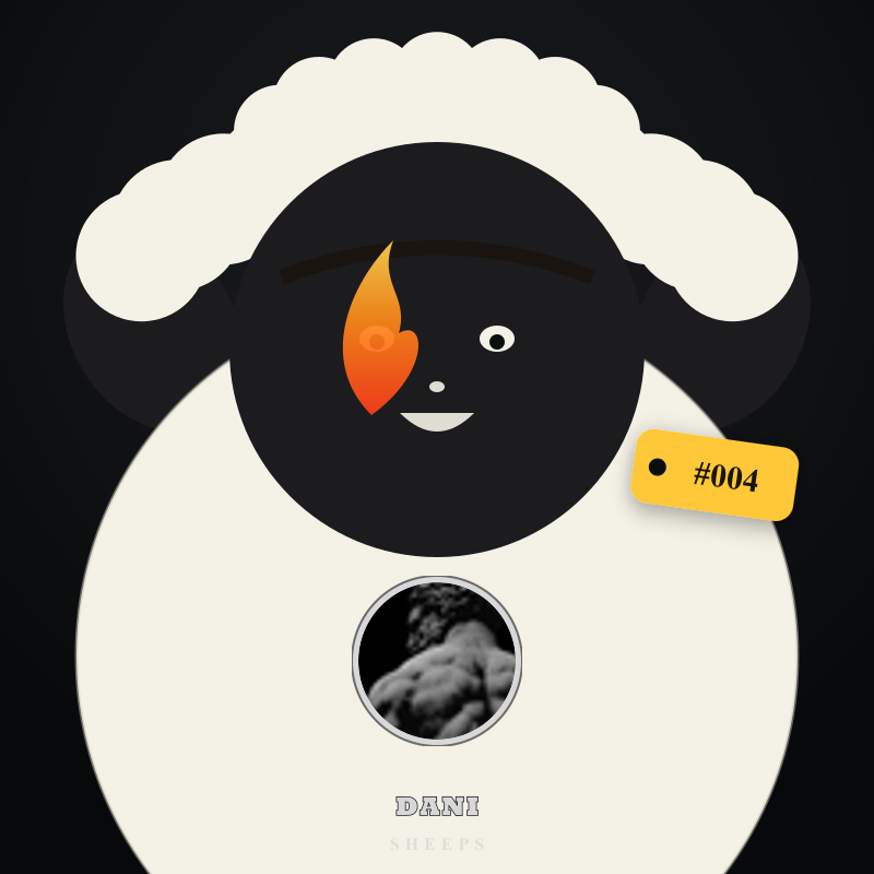 Sheep for Dani