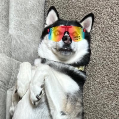 JADAWGS